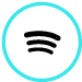 Spotify Icon Placeholder